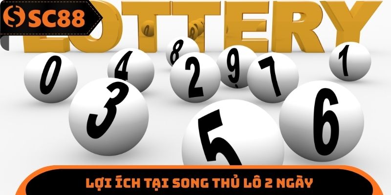 Lợi ích nên trải nghiệm tại song thủ lô 2 ngày