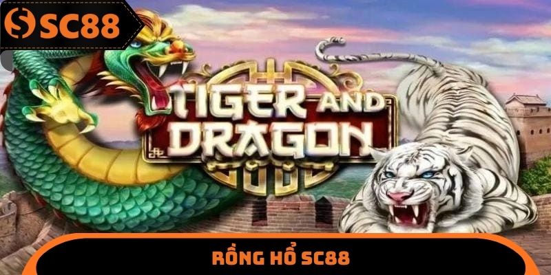 Rồng hổ SC88